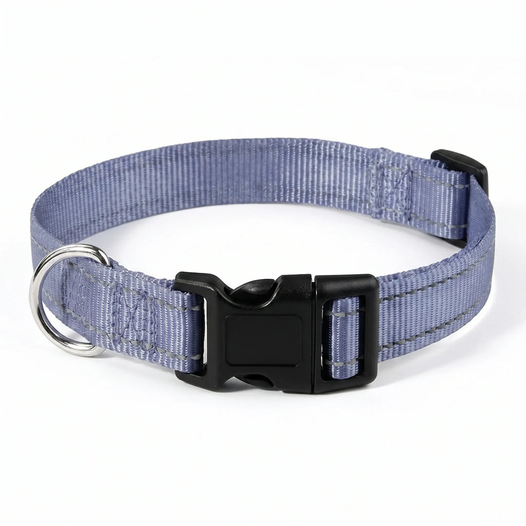 Reflektierendes Hundehalsband -  Strapio