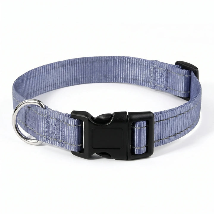 Reflektierendes Hundehalsband -  Strapio
