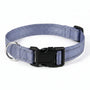 Reflektierendes Hundehalsband -  Strapio