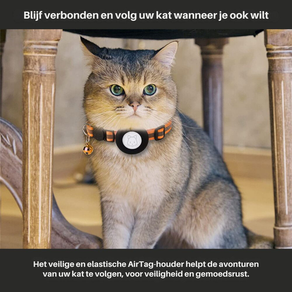 Reflektierendes Katzenhalsband -  Felinea