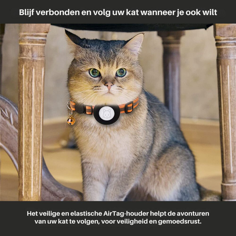 Reflektierendes Katzenhalsband -  Felinea