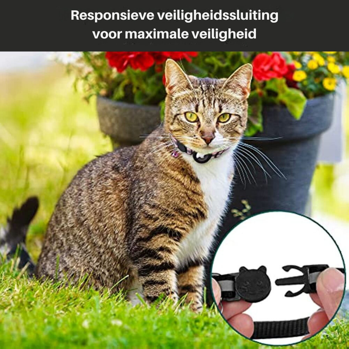 Reflektierendes Katzenhalsband -  Felinea