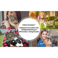 Reflektierendes Katzenhalsband -  Felinea