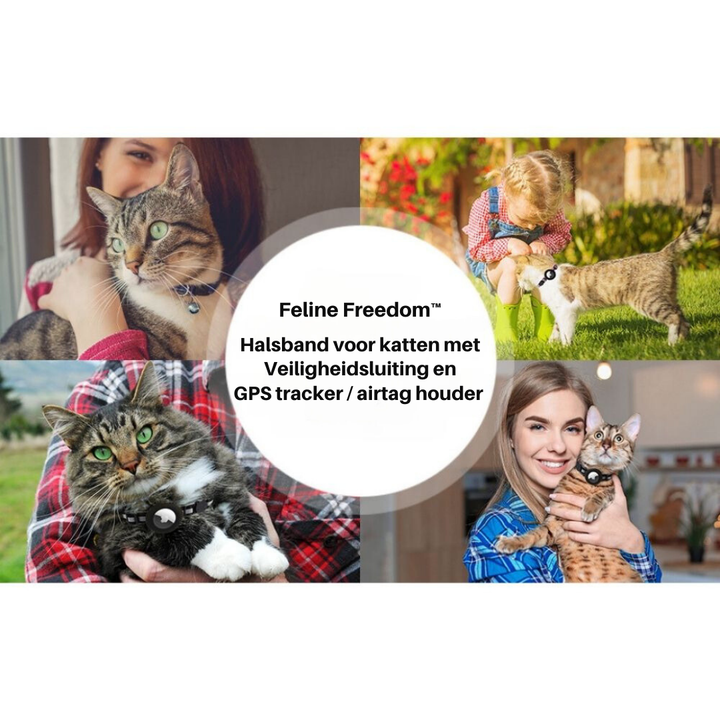 Reflektierendes Katzenhalsband -  Felinea