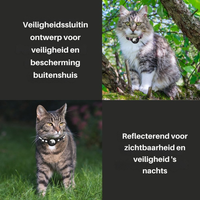Reflektierendes Katzenhalsband -  Felinea