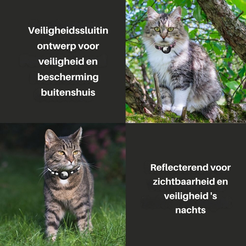 Reflektierendes Katzenhalsband -  Felinea
