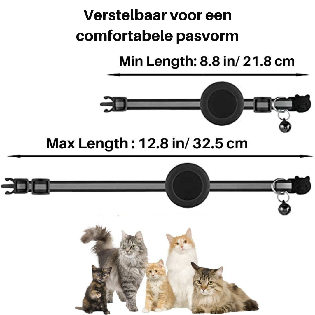 Reflektierendes Katzenhalsband -  Felinea