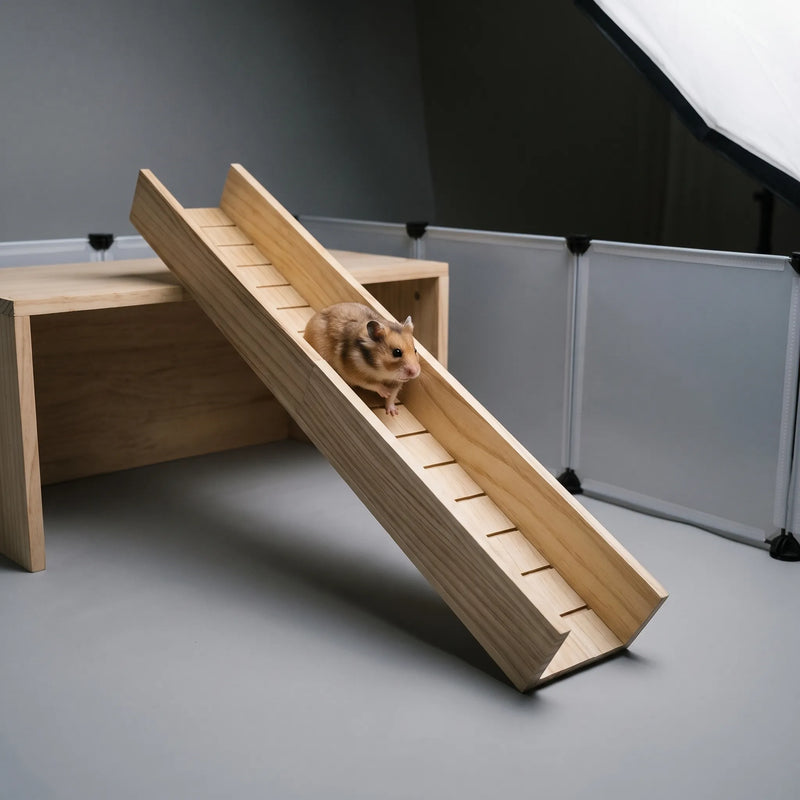 Robuste Rampe Für Kleintiere -  ClimbRamp