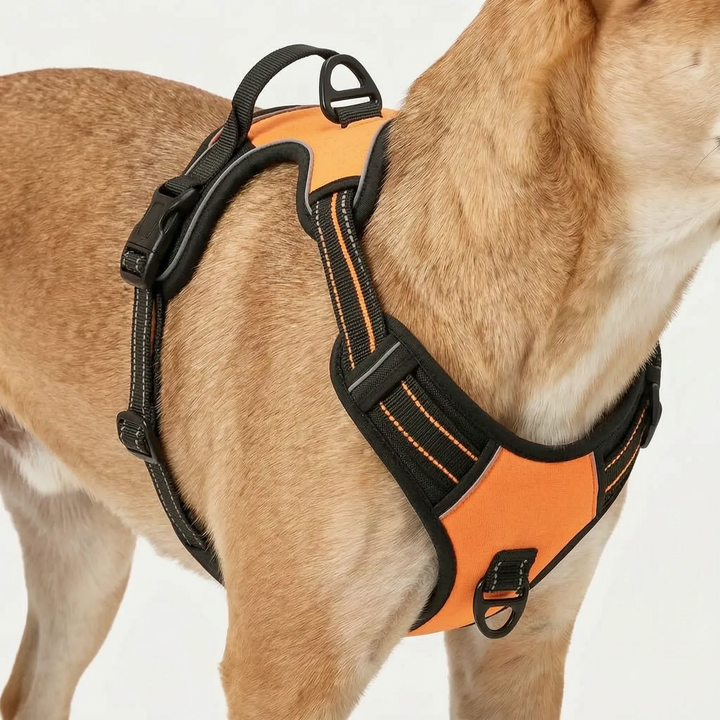 Robustes Brustgeschirr Für Große Hunde -  Leashlux