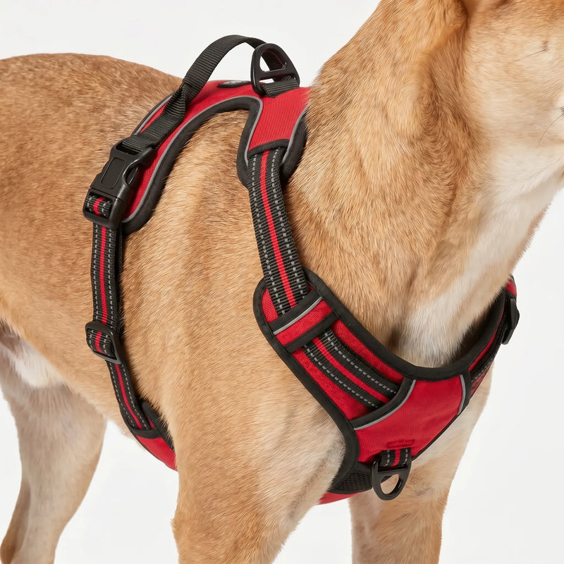 Robustes Brustgeschirr Für Große Hunde -  Leashlux