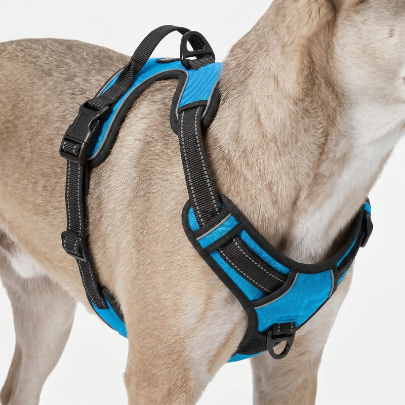 Robustes Brustgeschirr Für Große Hunde -  Leashlux