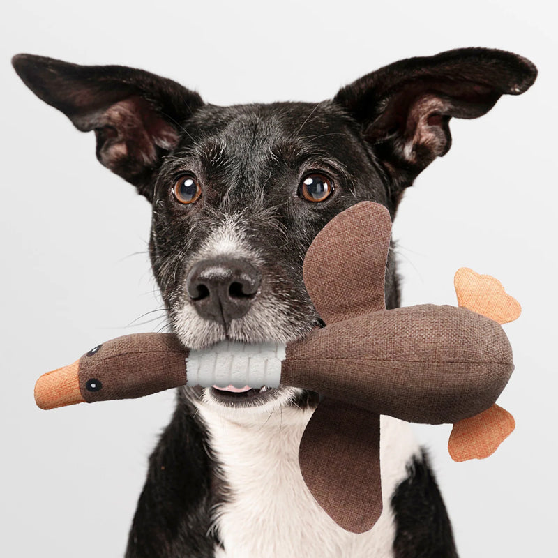 Robustes Hunde-Kauspielzeug -  Goosio