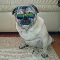 Runde Haustier-Sonnenbrille -  Visiro
