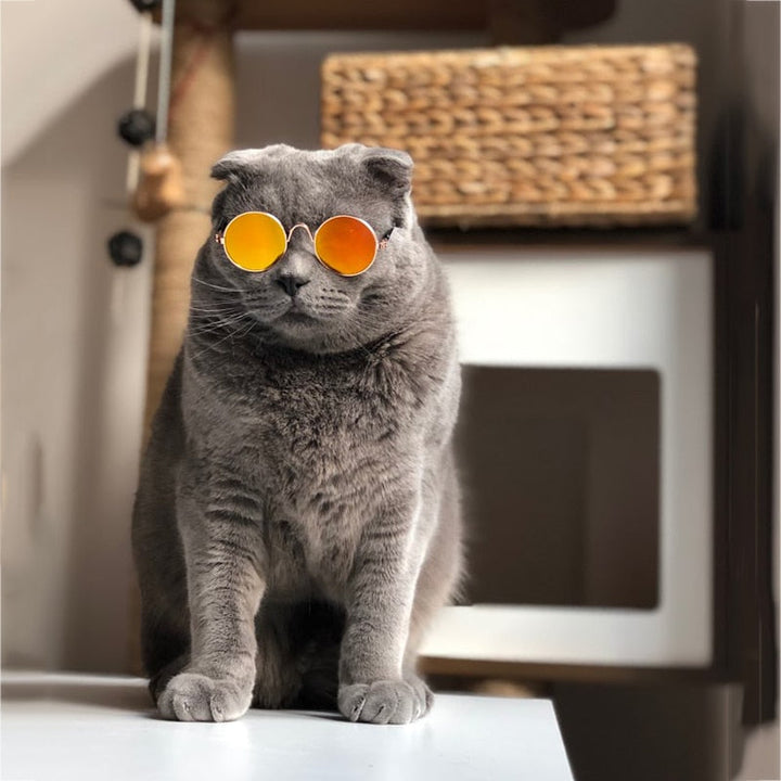 Runde Haustier-Sonnenbrille -  Visiro
