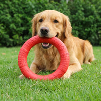 Runder Wurfring Für Hunde -  Fetchix