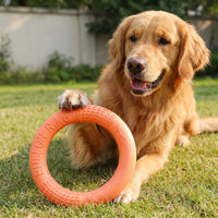 Runder Wurfring Für Hunde -  Fetchix