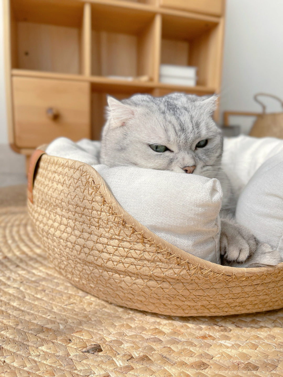 Rundes Geflochtenes Katzenbett -  Weavis