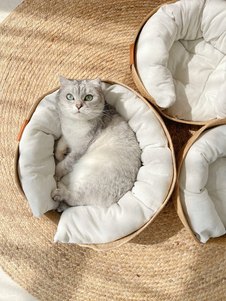Rundes Geflochtenes Katzenbett -  Weavis