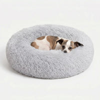 Rundes Plüsch-Tierbett Für Hunde Und Katzen -  Snugnest