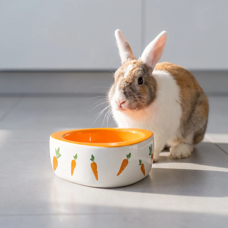 Schwerer Futternapf Für Kleintiere -  Bowlery