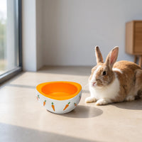 Schwerer Futternapf Für Kleintiere -  Bowlery