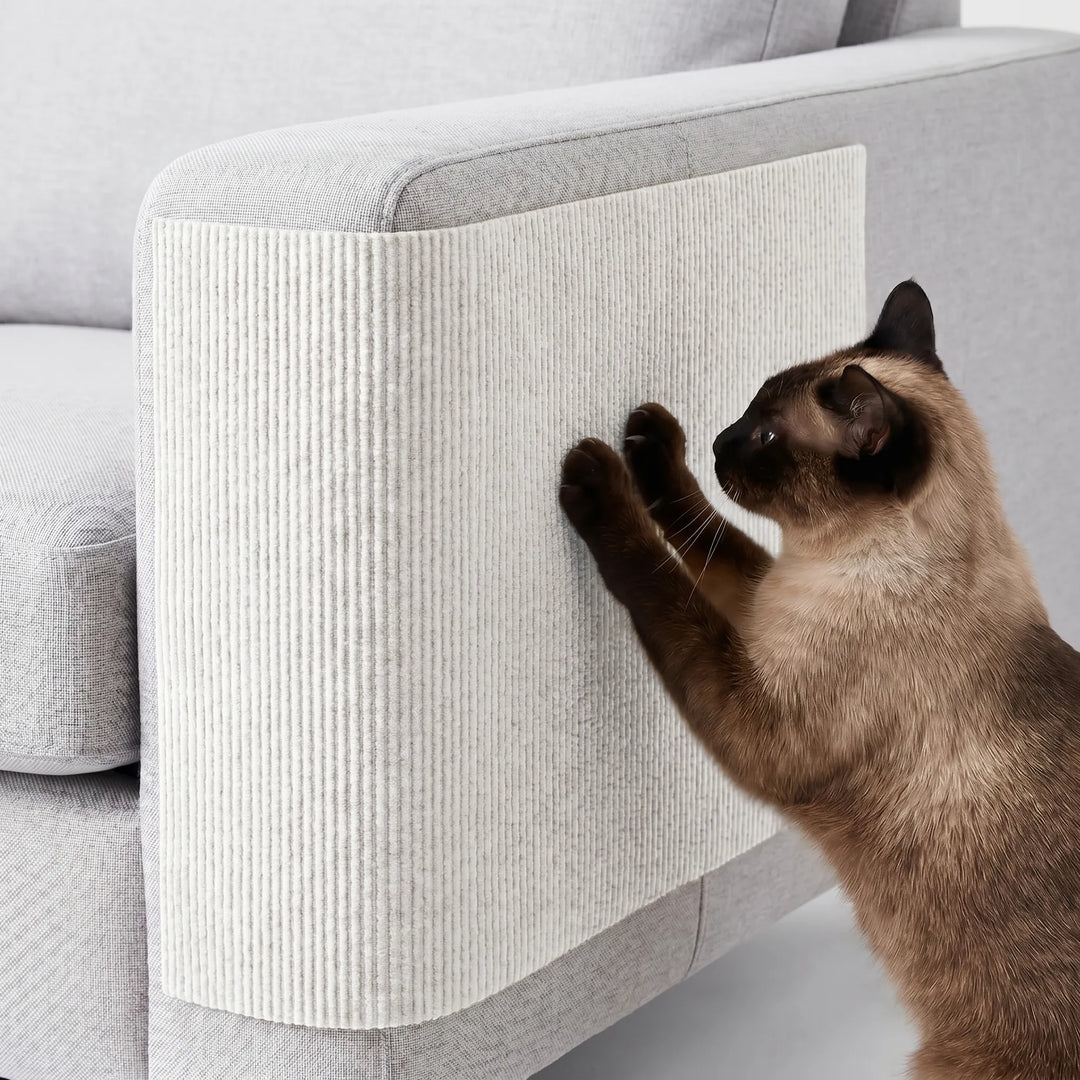 Selbstklebende Kratzmatte Für Sofas -  Scratchpad