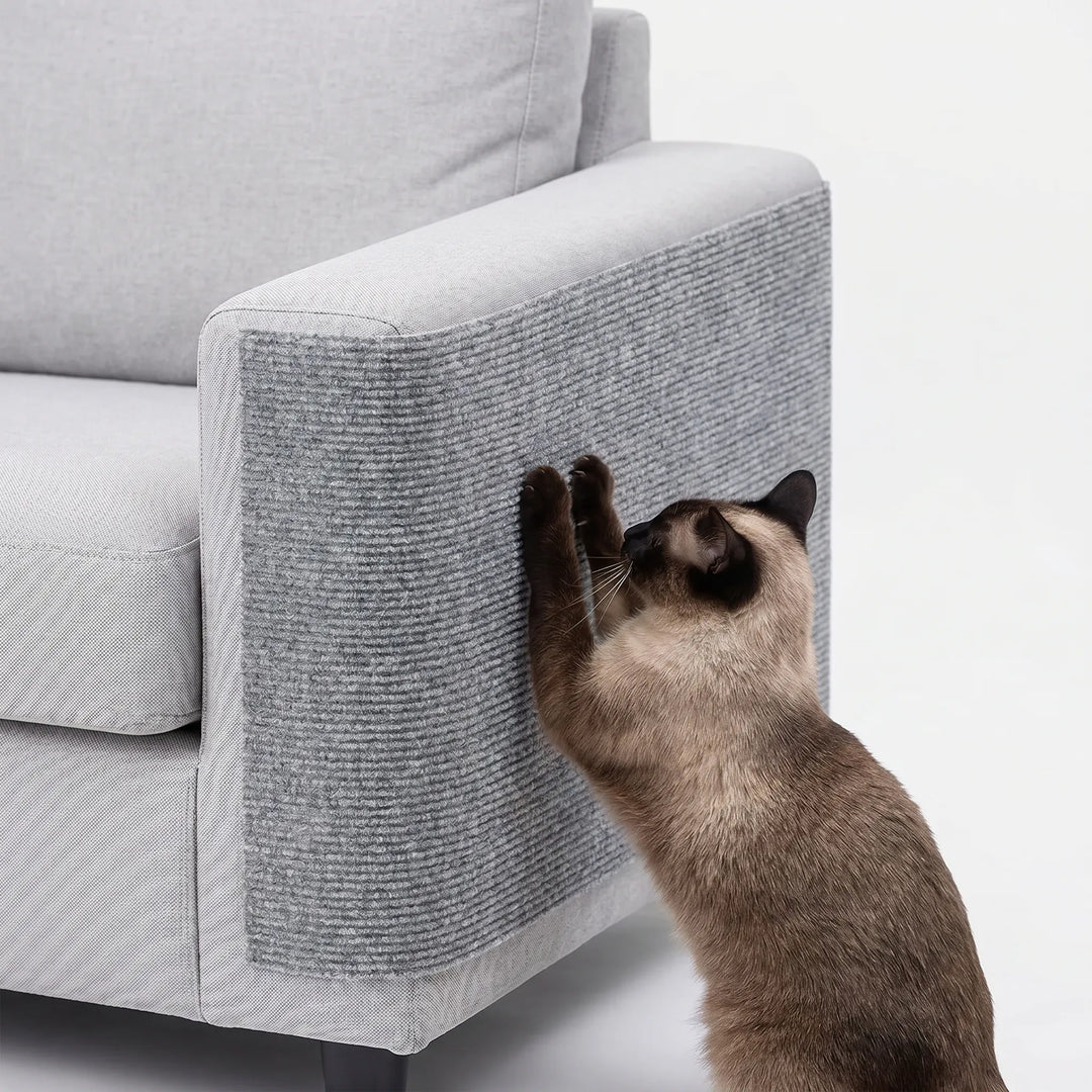 Selbstklebende Kratzmatte Für Sofas -  Scratchpad