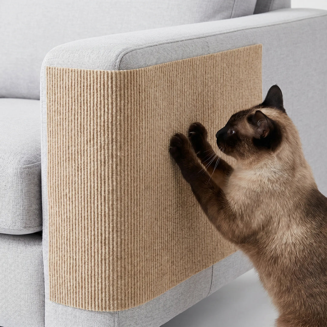 Selbstklebende Kratzmatte Für Sofas -  Scratchpad