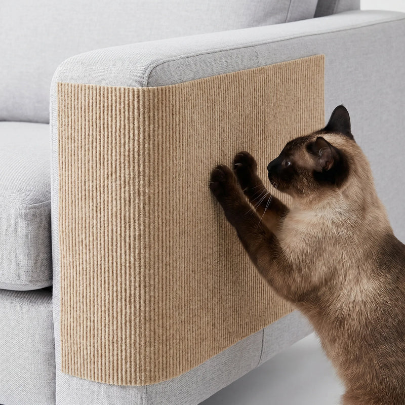 Selbstklebende Kratzmatte Für Sofas -  Scratchpad