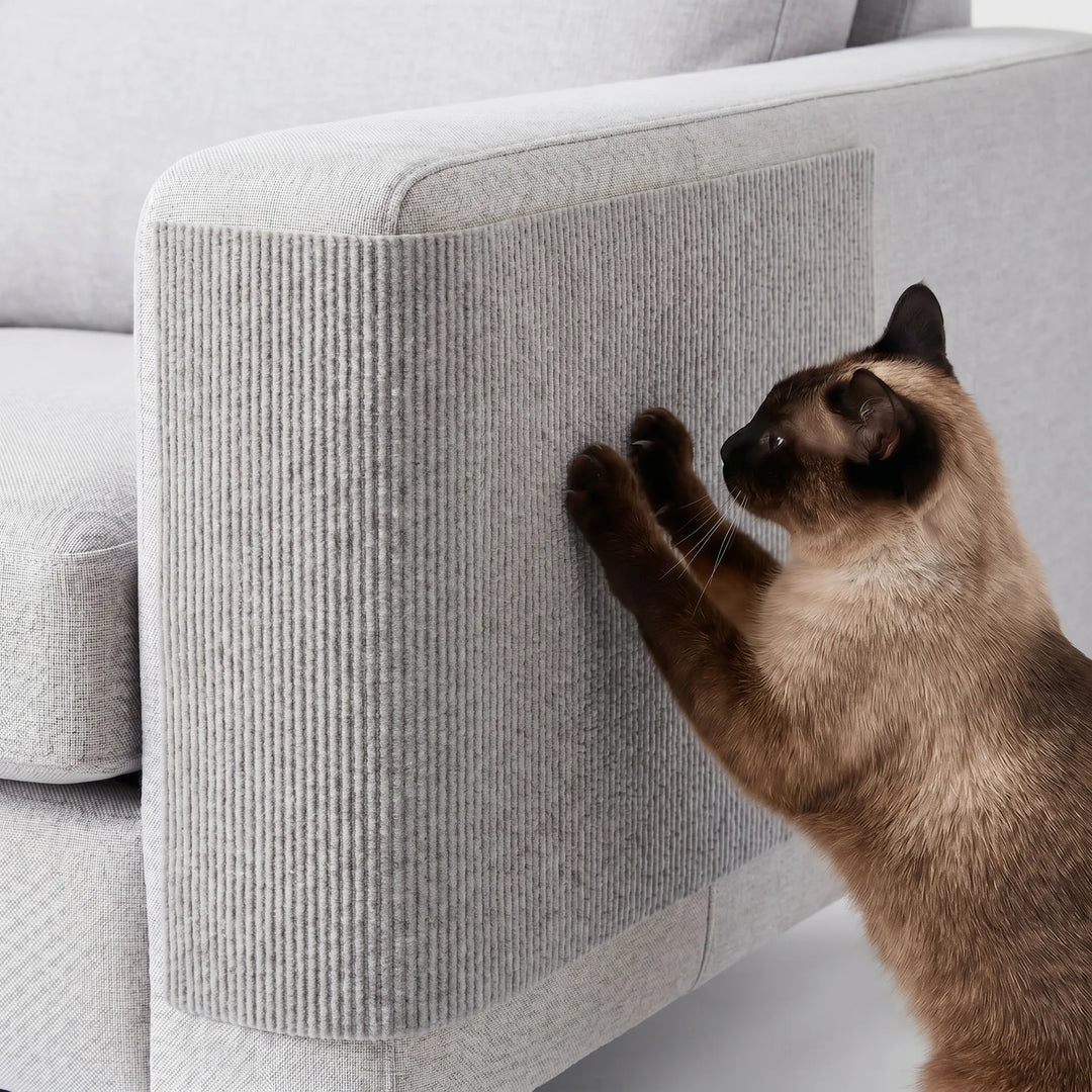 Selbstklebende Kratzmatte Für Sofas -  Scratchpad