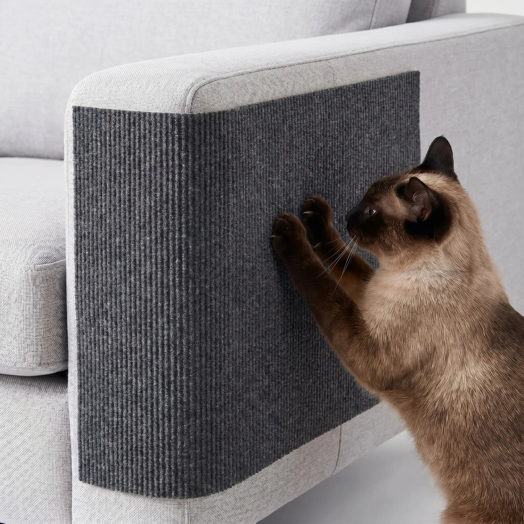Selbstklebende Kratzmatte Für Sofas -  Scratchpad
