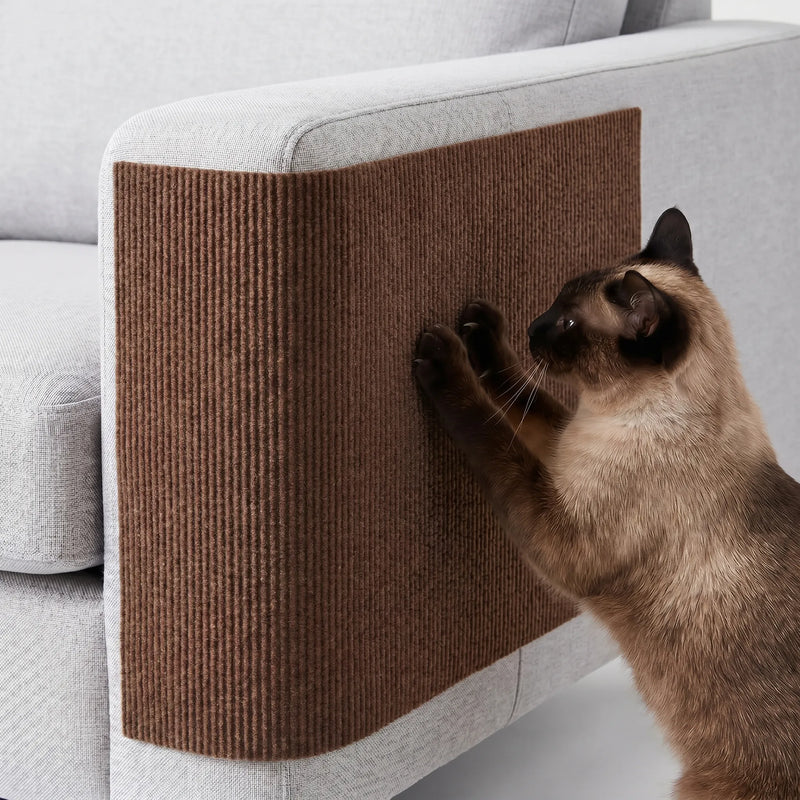 Selbstklebende Kratzmatte Für Sofas -  Scratchpad