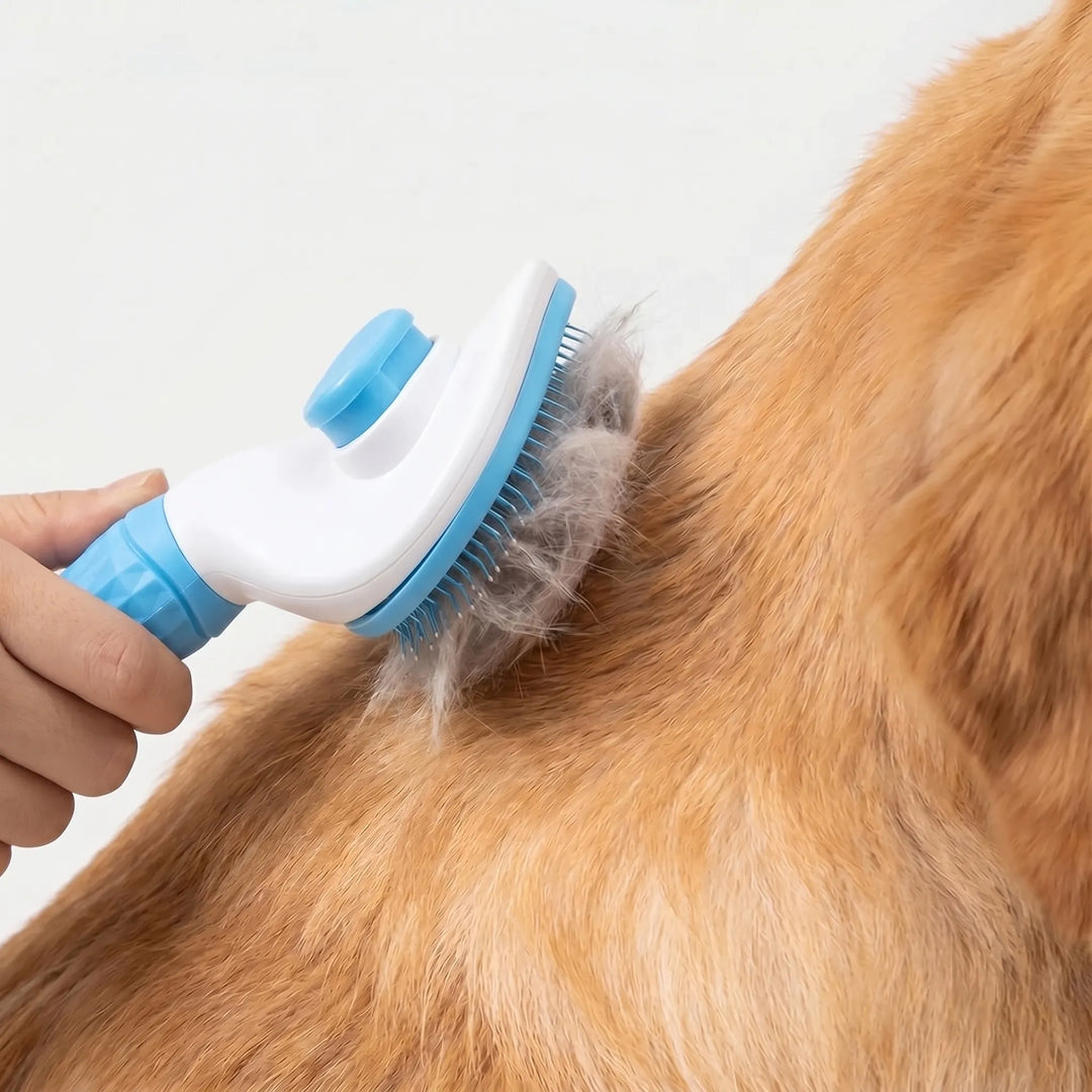Selbstreinigende Bürste Für Hunde Und Katzen -  Furzly
