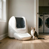 Selbstreinigende Katzentoilette Mit App-Steuerung -  PurrClean