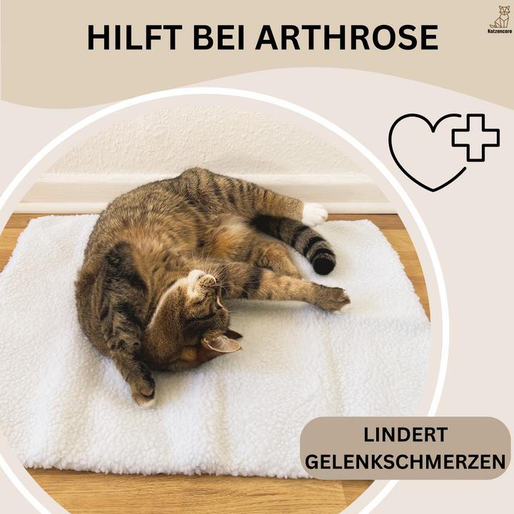 Selbstwärmende Matte Für Katzen -  Cozyma