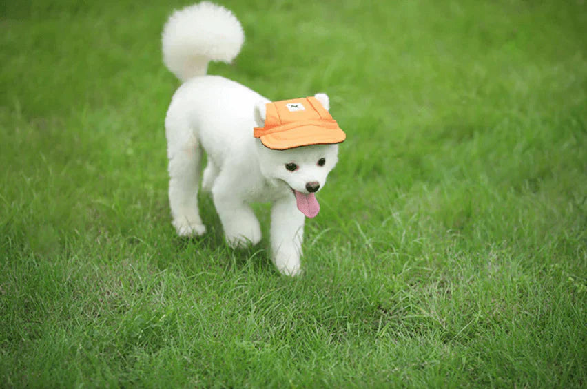 Sonnencap Mit Ohrenaussparungen -  Sunnix