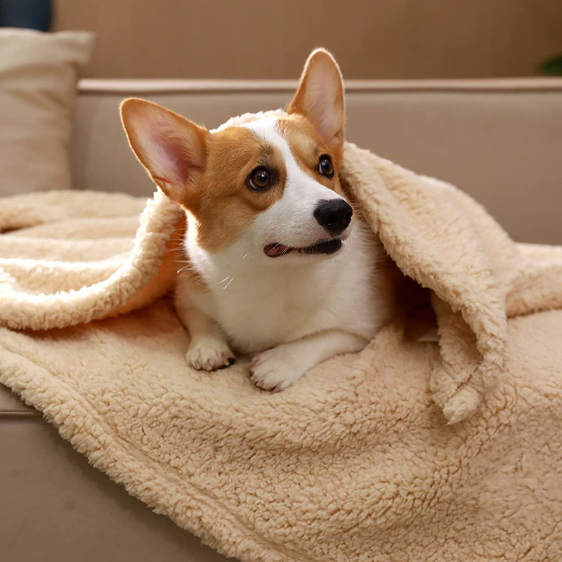 Strukturierte Decke Für Hunde -  Lumbrea