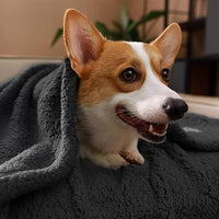 Strukturierte Decke Für Hunde -  Lumbrea