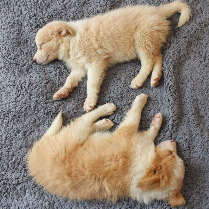 Strukturierte Decke Für Hunde -  Lumbrea