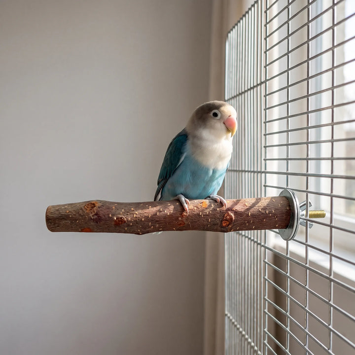 Strukturierte Vogelsitzstange -  Climbo