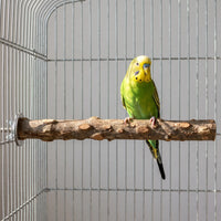 Strukturierte Vogelsitzstange -  Roostia