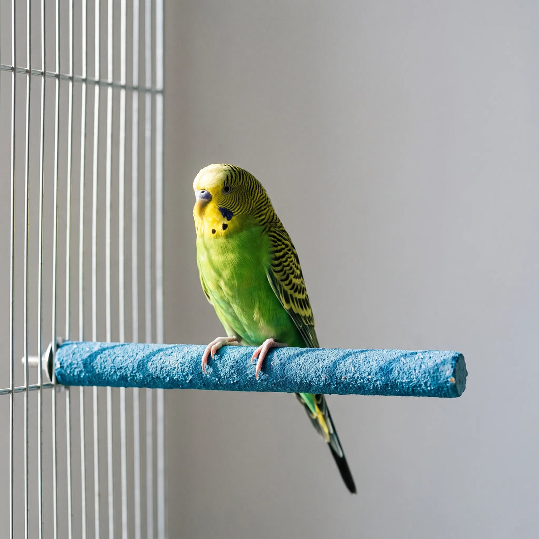 Strukturierte Vogelstange -  Aviaro