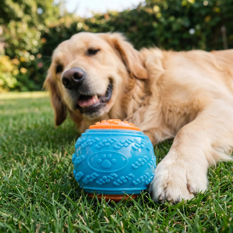 Strukturierter Spielball Für Hunde -  Chewbo