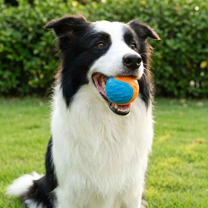 Strukturierter Spielball Für Hunde -  Chewbo