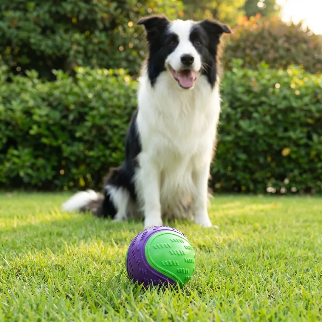 Strukturierter Spielball Für Hunde -  Chewbo