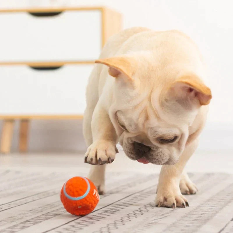 Strukturiertes Hunde-Kauspielzeug -  Fetchon