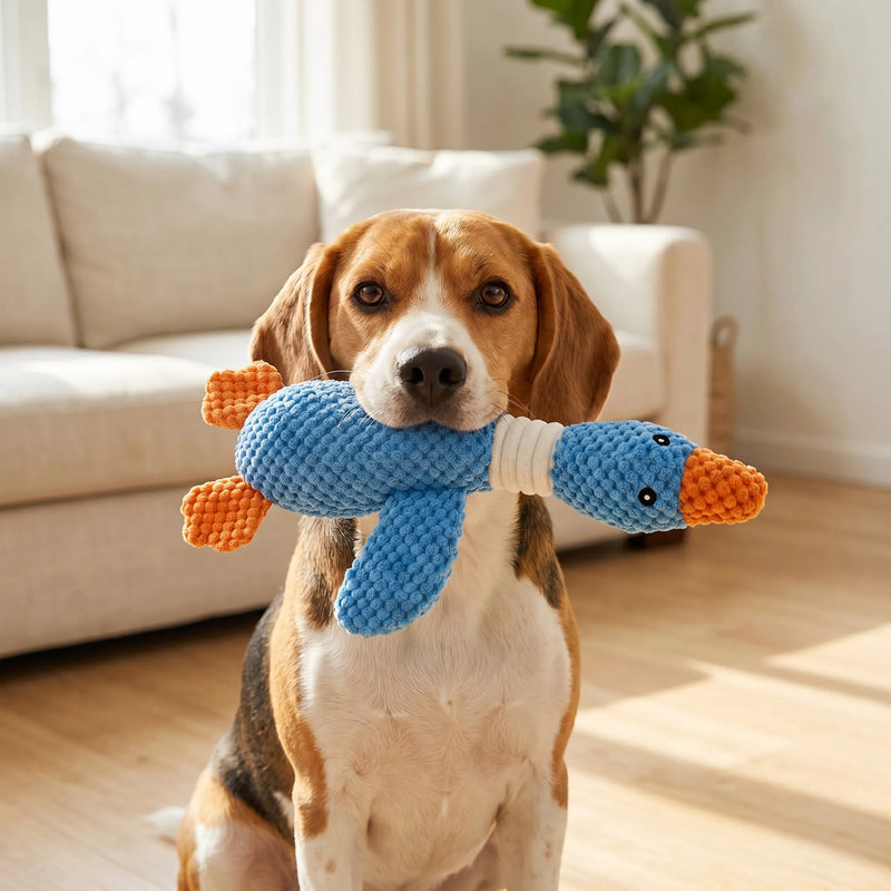 Texturiertes Hundespielzeug -  Honkly
