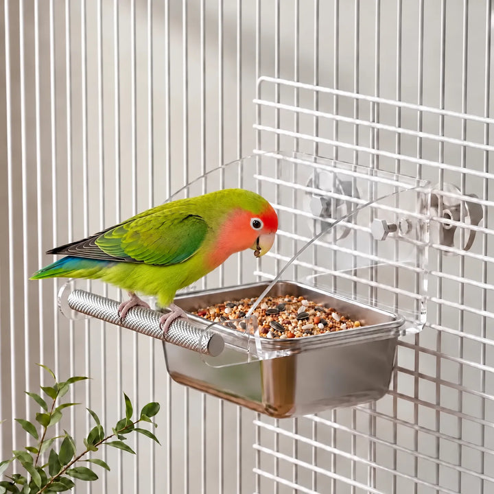 Transparente Futterstation Für Vögel -  Aerina