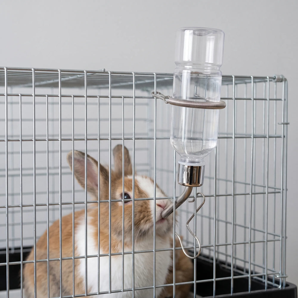 Transparente Trinkflasche Für Kleintiere -  PetSip