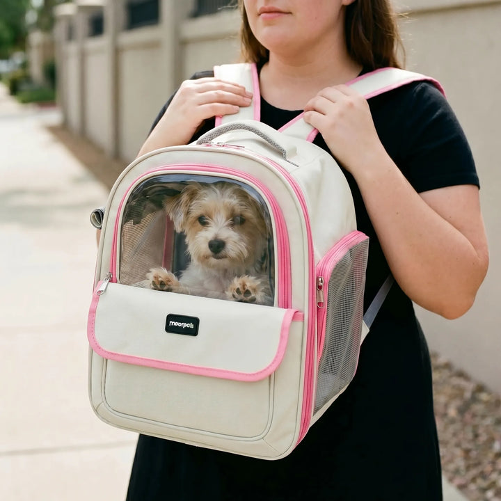 Transparenter Haustierrucksack -  Visiom